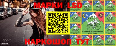 гидра Моздок